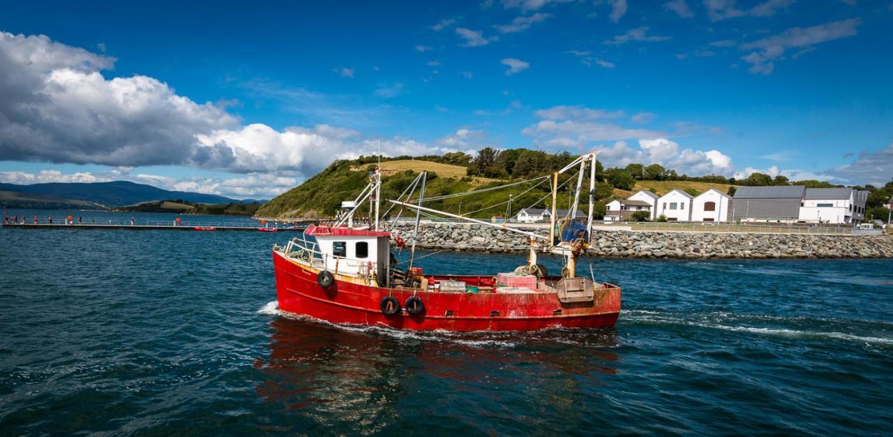 Barry'S Bed And Breakfast Bantry Exteriör bild